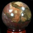 Colorful Petrified Wood Sphere #36960-1